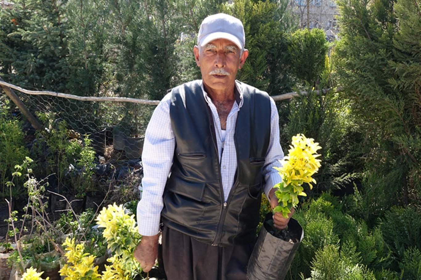 Gaziantep’te zeytin ve fıstık fidanlarına rağbet arttı